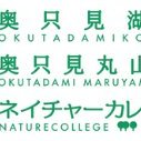 奥只見okutadami_shipski's profile picture