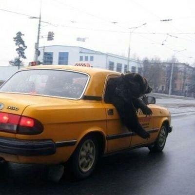 Aquel Coche's profile picture
