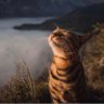Фото профиля Deborah Elinor