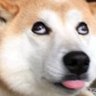 Profilbild von スリーコインのどん
