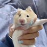 hxq's profile picture