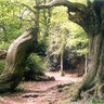 Фото профиля fullwood