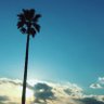 ゆんちょる( ¨̮ )☀︎'s profile picture