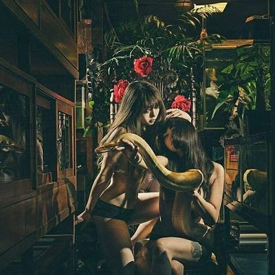 爬虫類専門店【𝙳𝙸𝚉𝚉𝚈 𝙿𝙾𝙸𝙽𝚃】東京第002225's profile picture