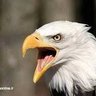 Mathys Chitambal profil fotoğrafı