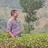 Budiarto Oppo profil fotoğrafı