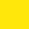 🟡 FNDS. profil fotoğrafı