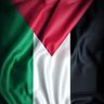 ZulfadliNoor777🇮🇩🇵🇸 profil fotoğrafı