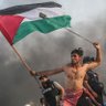 بلبل's profile picture