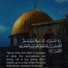 Profilbild von Abdelaal sayed