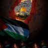 أمنية 🇵🇸 的头像