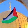 Mahdi Bnwoudaa's profile picture