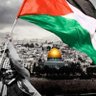 Фото профиля محمود ابوهاشم