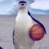 Profilbild von boolaboola