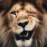 Profilbild von LEON SOLITARIO