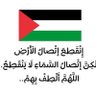 Profilbild von Hala Elkelawy