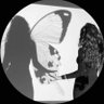 جَـونة🔆's profile picture