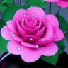 Neela 的头像