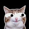 CAT Creative's profile picture