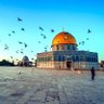 Фото профиля Yağmur 🇹🇷🇪🇭