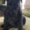 Drog profil fotoğrafı