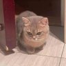 Profilbild von Yegan