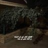 Фото профиля Rasha