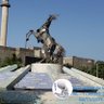 Steve yasini profil fotoğrafı