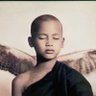 Yang Lan's profile picture