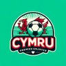 Cymru Premier Enjoyer 的头像