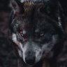 Ardeen's profile picture