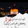 Shapaan Alshaaer 的头像