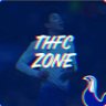 thfc.zone's profile picture