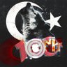 Gökbörü 🇹🇷🇦🇿🇰🇿🇹🇲🇺🇿🇰🇬🇭🇺 的头像