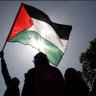 Фото профиля W1bawa #freePalestine 🇵🇸