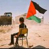 Abou Sami's profile picture