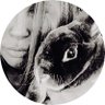 𝙱𝚎𝚌𝚌𝚊's profile picture