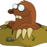 Profilbild von Topo