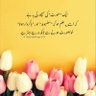 Seema Zafar profil fotoğrafı
