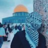 Abdelrahman Allam's profile picture