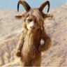 Lazarus Taxón's profile picture