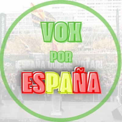 VOX por España 🇪🇸's profile picture