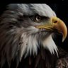Profilbild von درع المعروفي ابو سيف