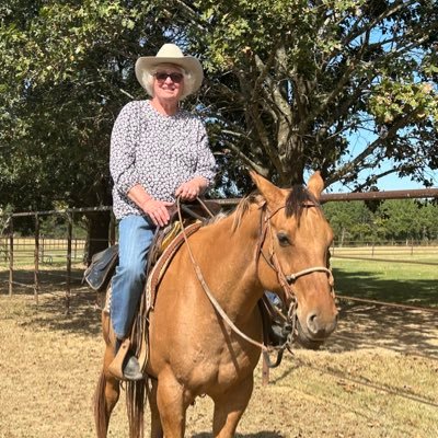 Mary Barrett's profile picture
