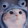 Phong Nguyễn's profile picture