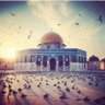 صاحب القلم الأزرق 💙 的头像
