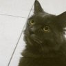 s profil fotoğrafı