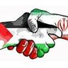 Mohammad Reza 🎒's profile picture
