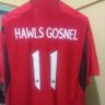 Profilbild von Hawls Gosnel