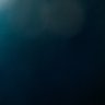 Bharatsinh profil fotoğrafı